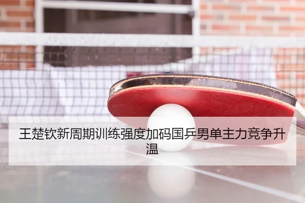 王楚钦新周期训练强度加码国乒男单主力竞争升温