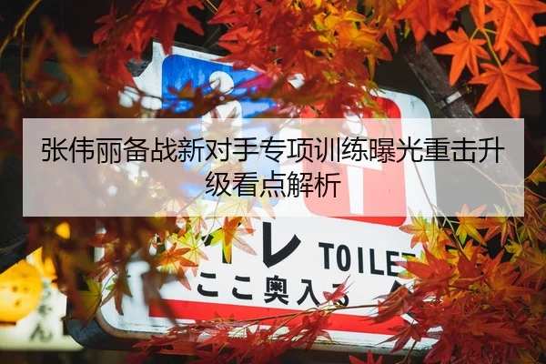 张伟丽备战新对手专项训练曝光重击升级看点解析