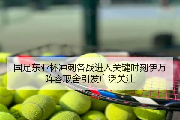 国足东亚杯冲刺备战进入关键时刻伊万阵容取舍引发广泛关注
